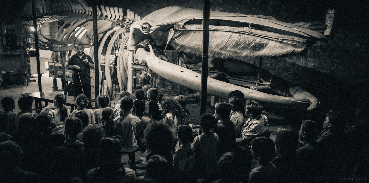 Image en avant 5N5A3573-2