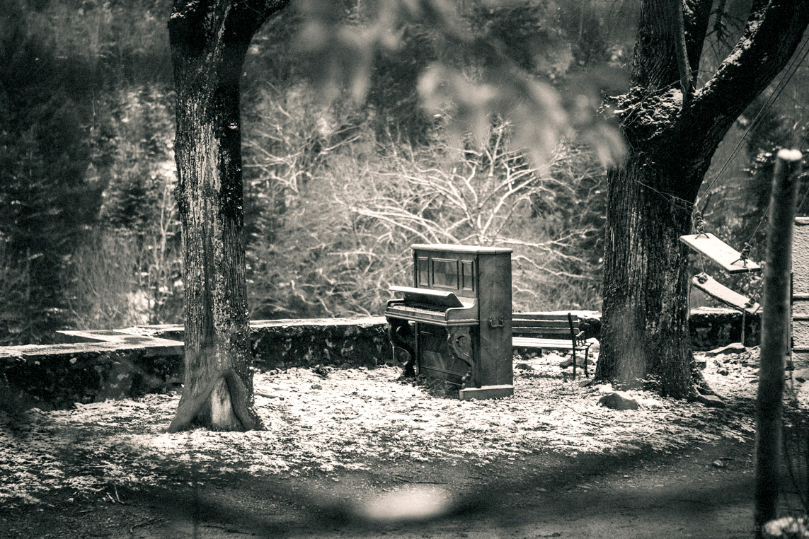 Photo en avant 5N5A2213